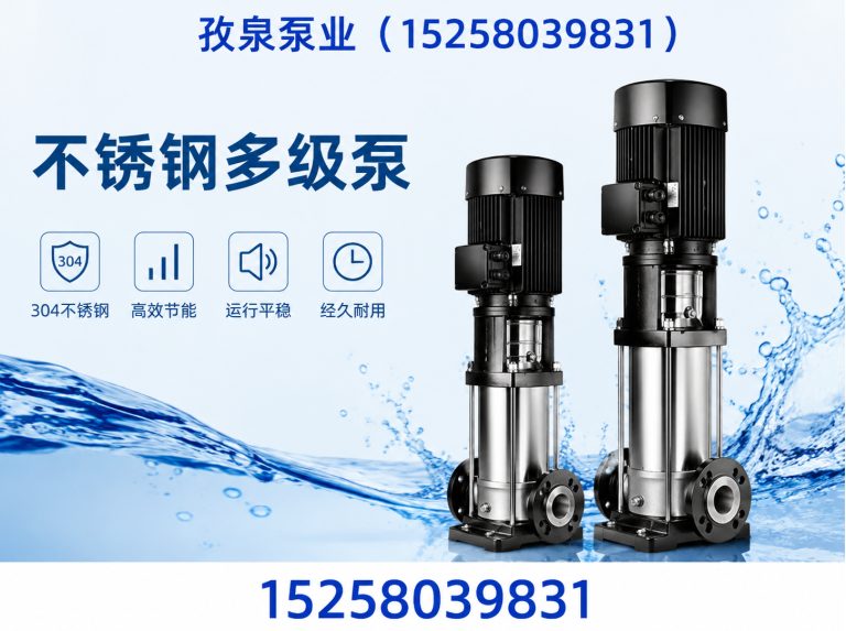 乐清市立式多级离心泵展示图
